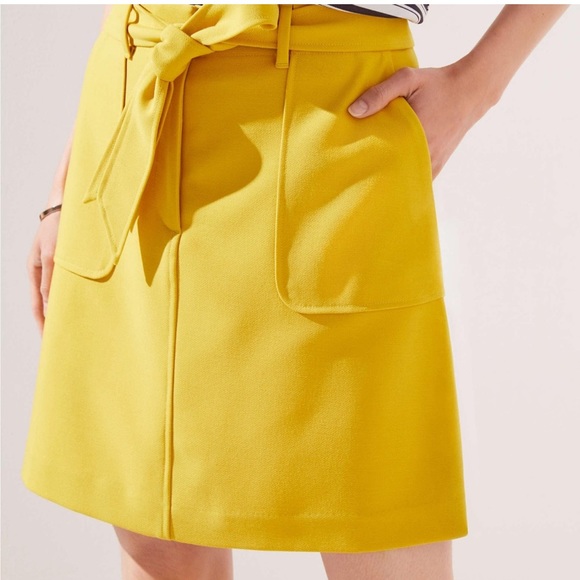 Ann Taylor Dresses & Skirts - Paper Bag Waist Miniskirt zs 4 Ann Taylor